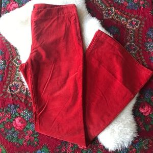 Theory Orange Corduroy Flares